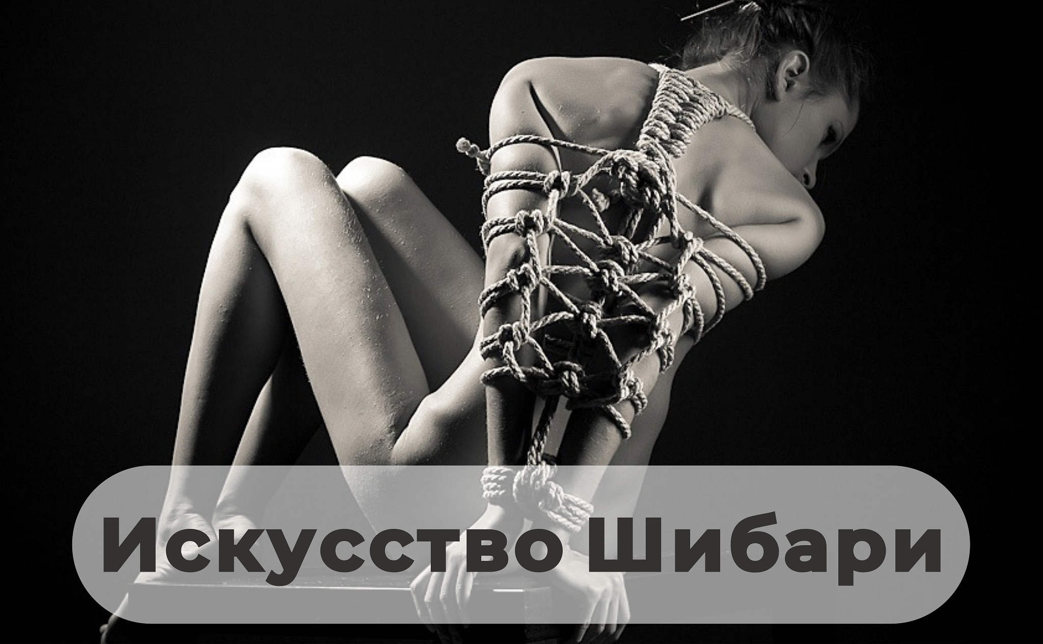 Embrace the Sensual Art of Shibari with Karada Sagashi